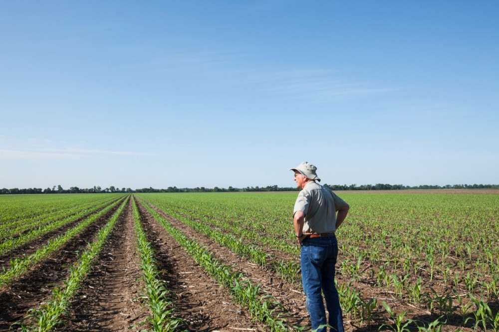 Kraljica i saudijski princ dobijaju subvencije od EU!