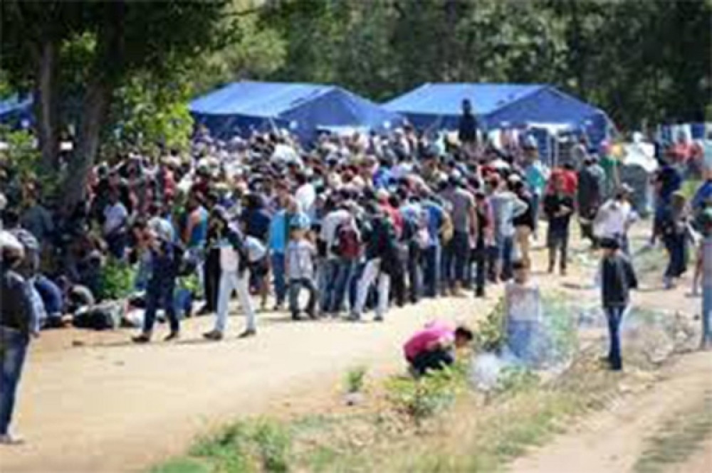 Azil zatražila 1.054 migranta