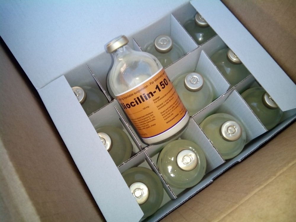 Lekove za životinje krio u autobusu