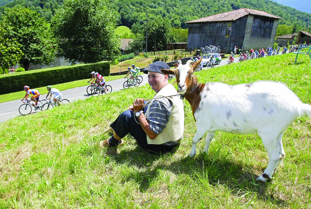 „Slavuj sa pašnjaka” dobio njive i livade!