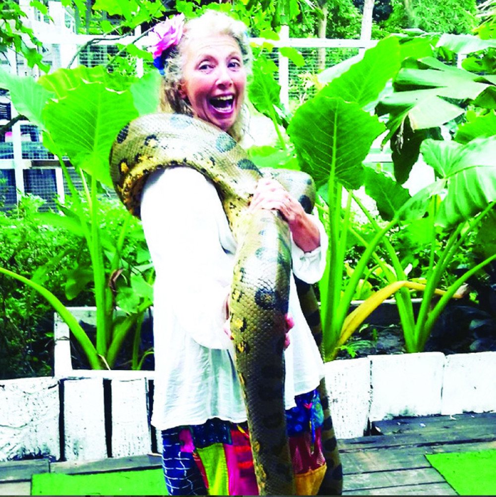 Maja Volk: U džungli se podmlađujem