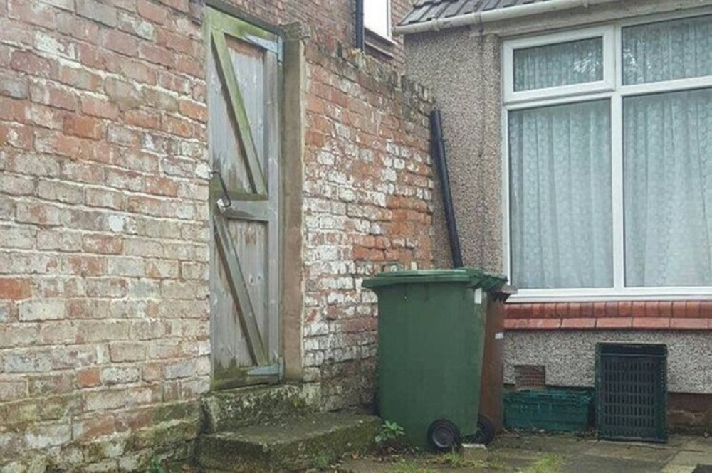 Zaboravite pandu, pronađite mačku!