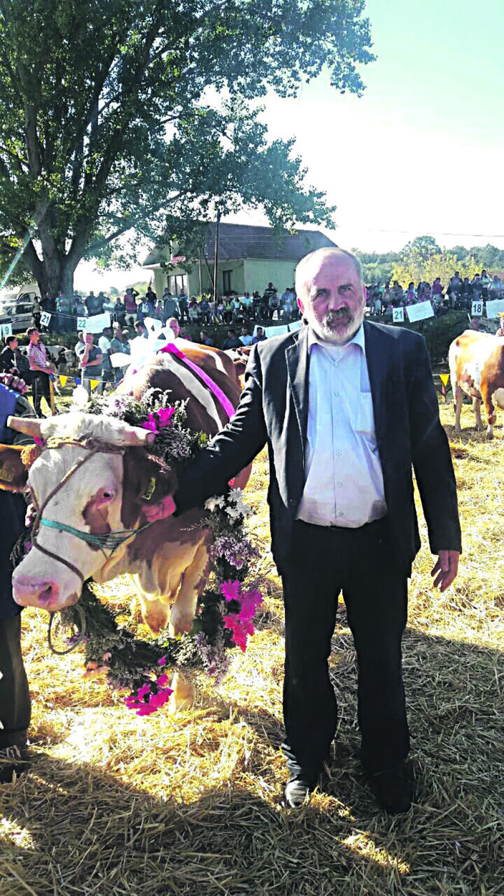 Rističević krunisao najlepšu kravu!