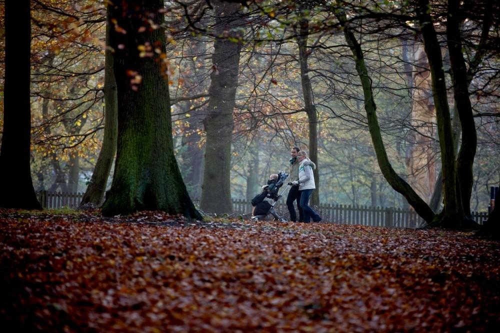 Parkirali kolica s bebom pa se poseksali na ulici?!