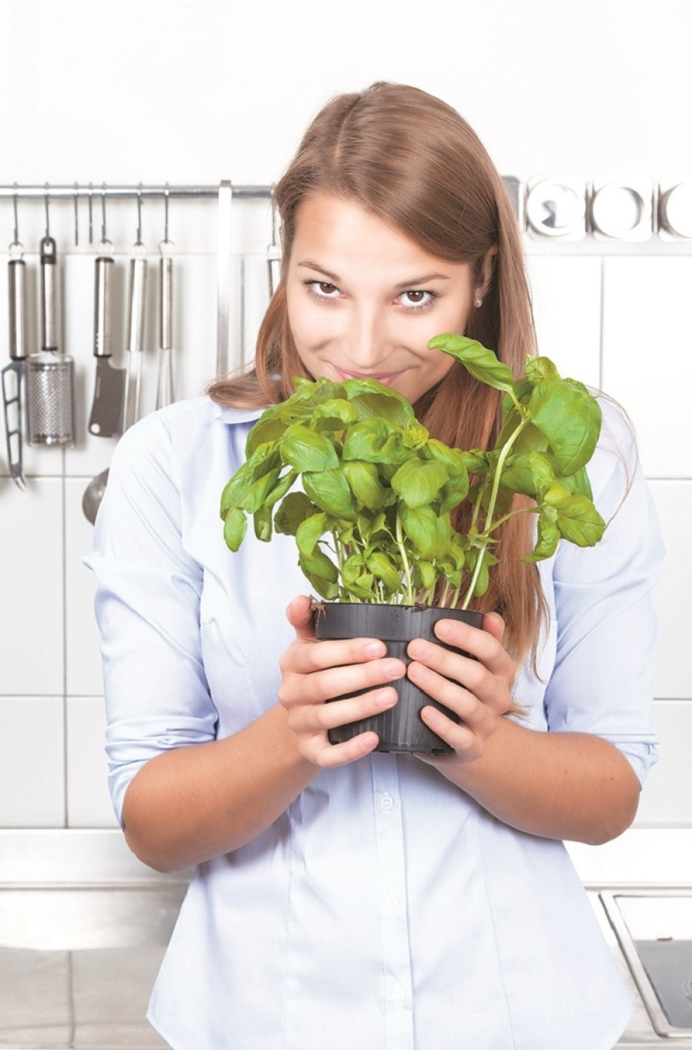 Neverovatno je MOĆAN! Koren ove biljke leči RAK, a priprema se na veoma JEDNOSTAVAN način!