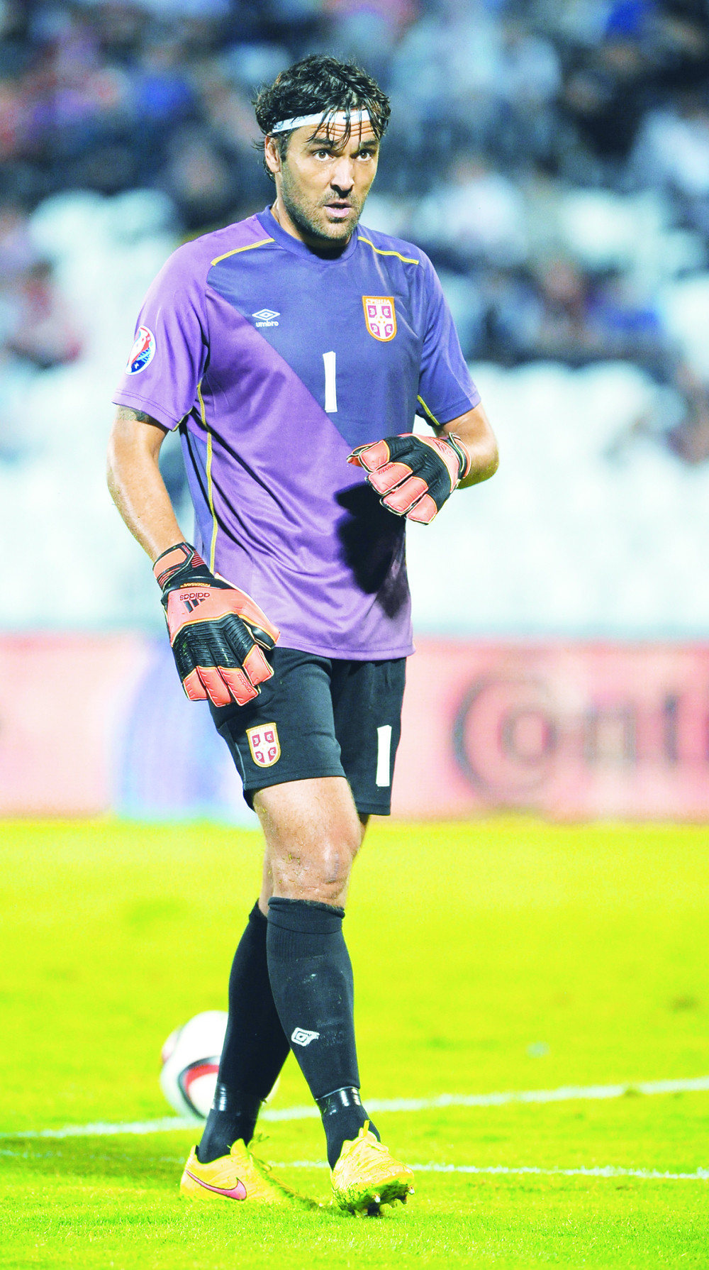 Stojke: Karager je pas koji laje!