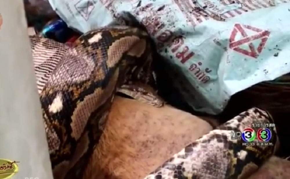 Piton joj upao u kuću i progutao psa (UZNEMIRIJUĆI VIDEO)