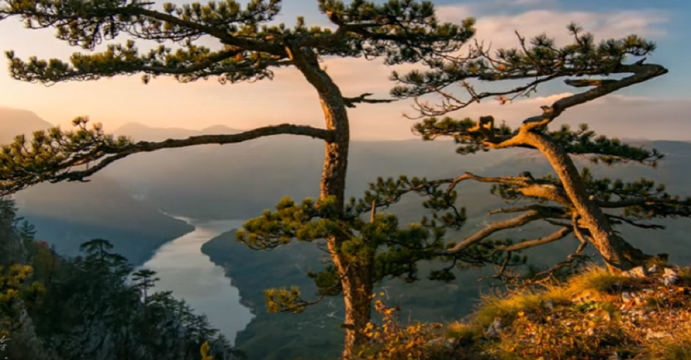 Oluja napravila ogromnu štetu na Tari