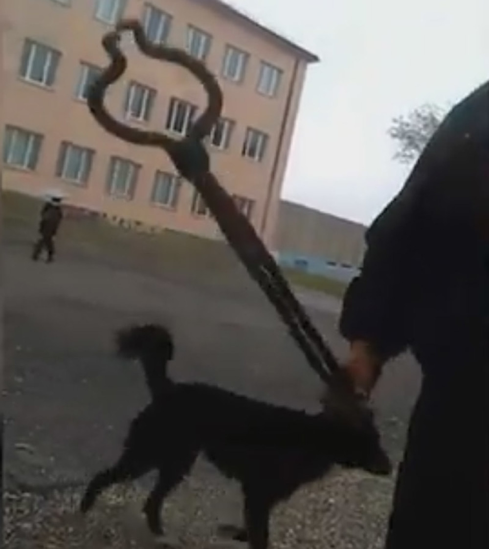 Šinteri napali čoveka koji ih je snimao kako hvataju pse (VIDEO)