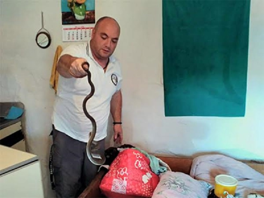 Zmija na fudbalskom terenu prestravila decu!