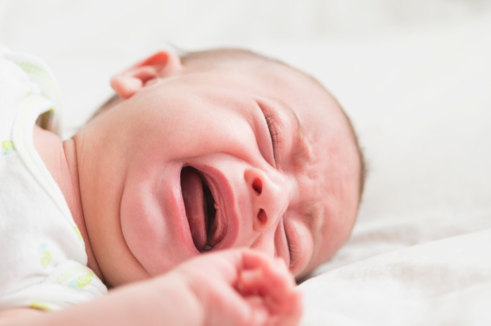 Bacila bebu kroz prozor i spasila je, pa onda poginula