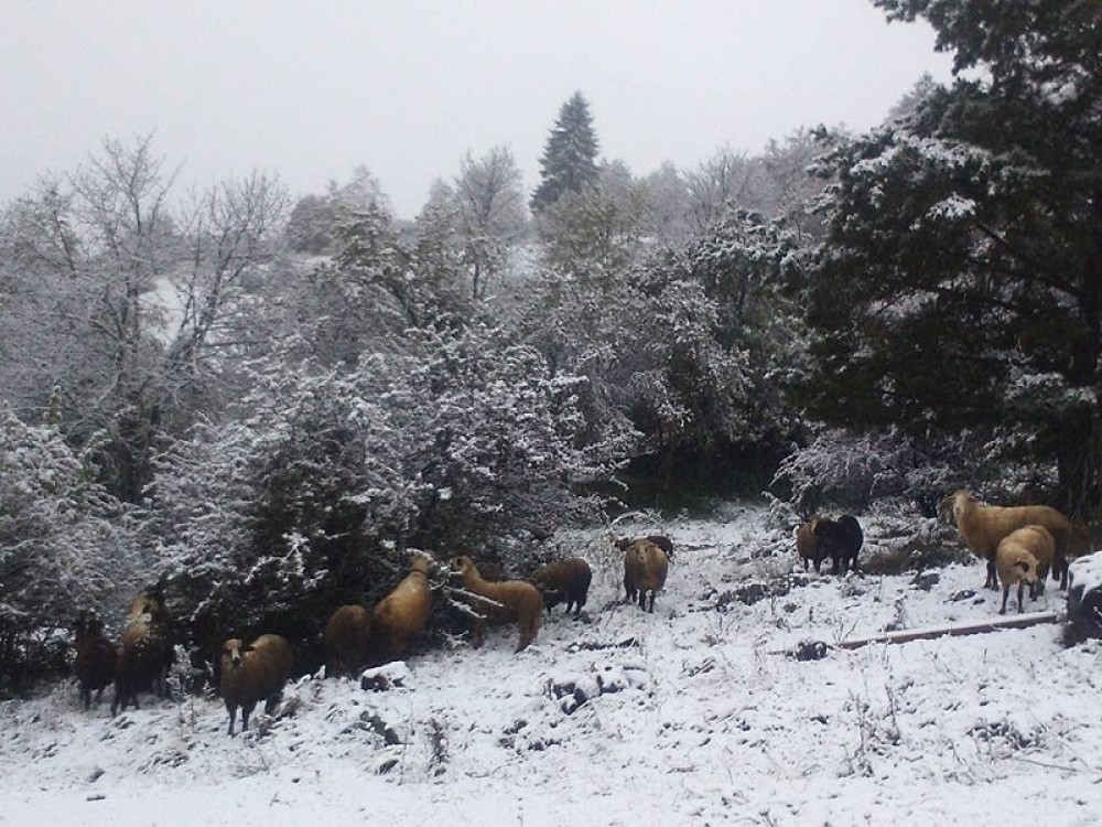 Zabeleli se Murtenica i Zlatar (FOTO)
