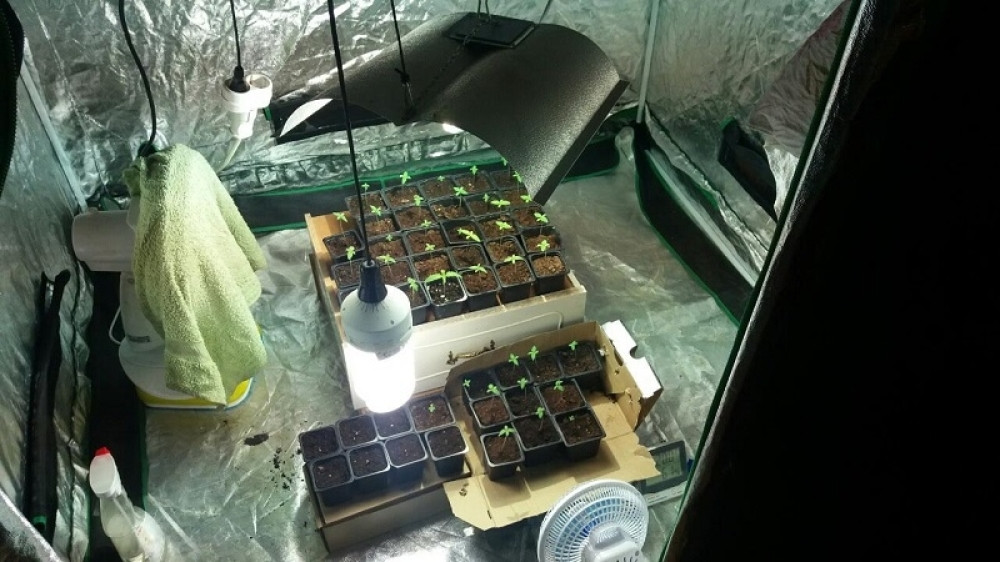 Pohapšeni i dileri i kupci droge! (FOTO)