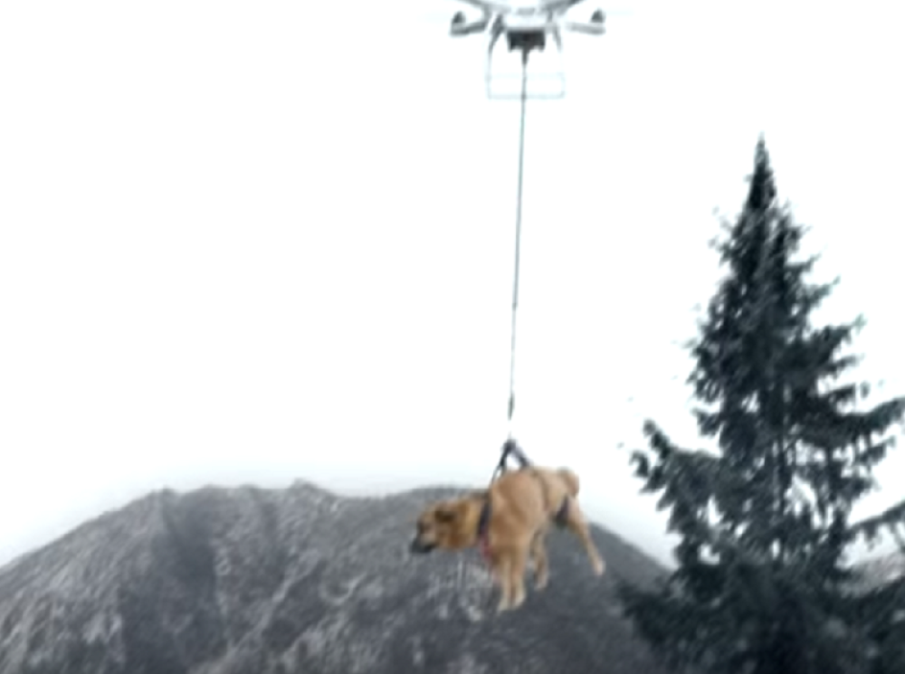 Dron odneo psa (VIDEO)