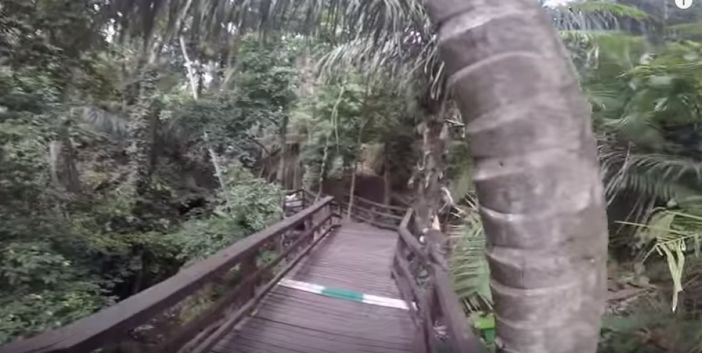 Srušio se viseći most u Indoneziji, devetoro stradalo