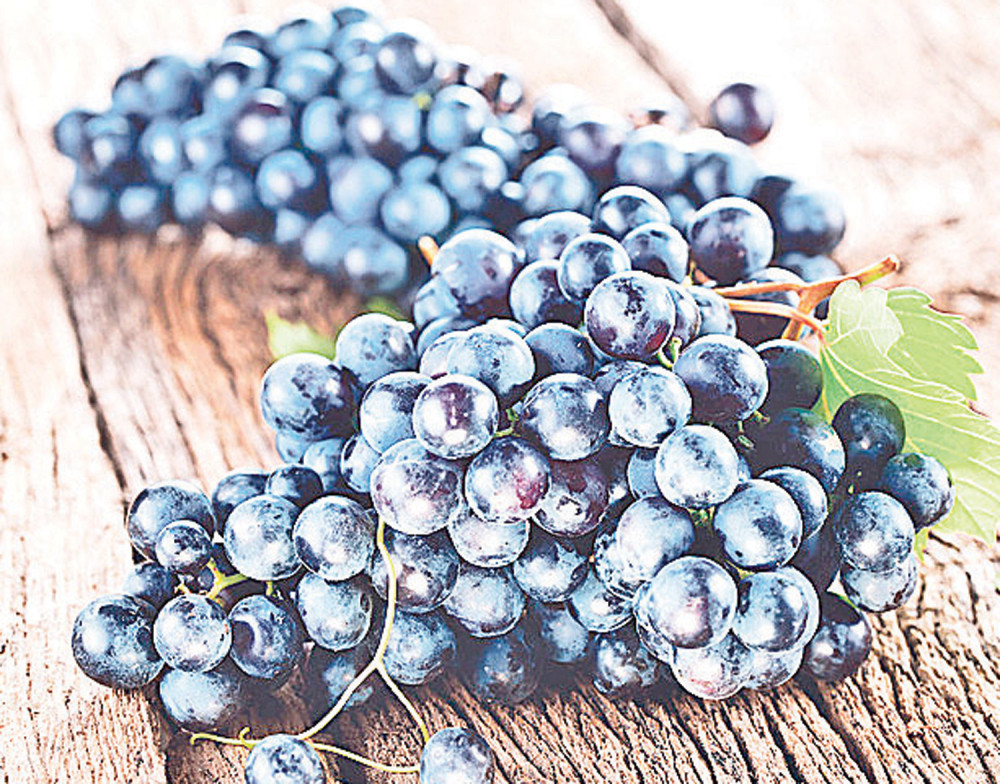 Grožđe je opasno za decu, a evo i zbog čega!