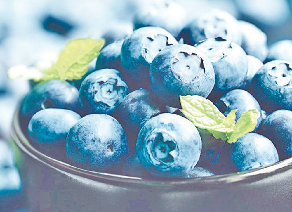 Ovo je novi srpski brend, otkupljivaće 50 tona dnevno za 300.000 evra