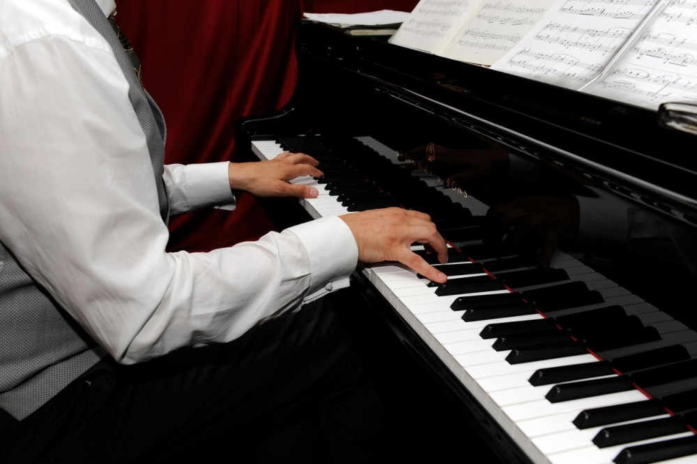 Profesor klavira krao po Loznici