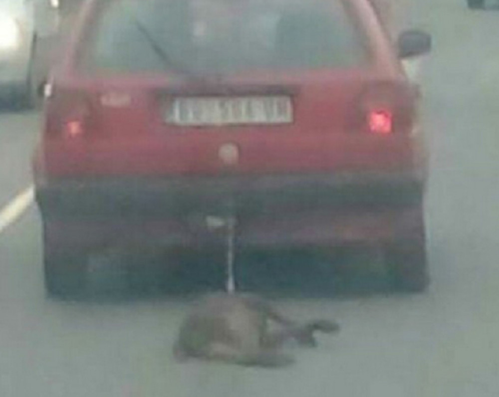 Nisam hteo da je povredim, vrištao sam od muke!