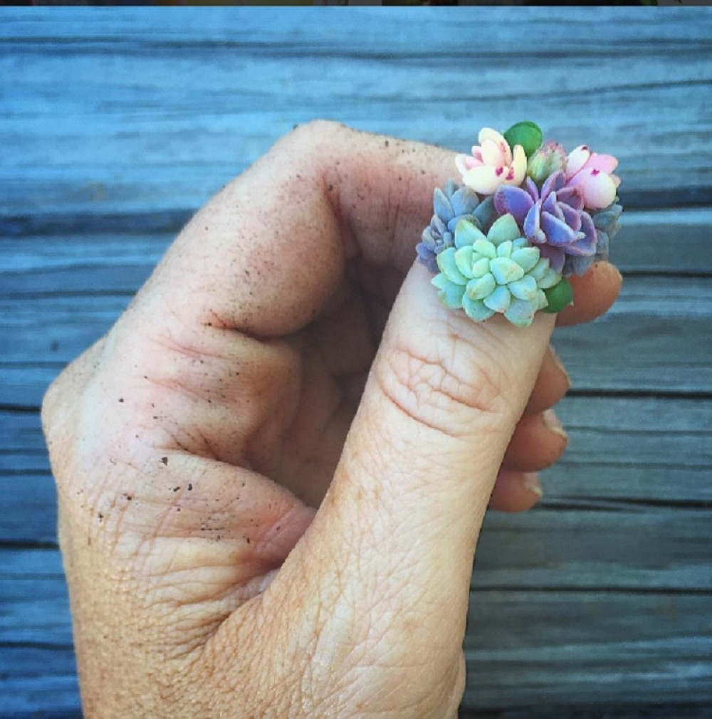 Cvetići na noktići