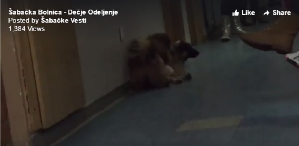 Ovo deca gledaju dok čekaju kod lekara! (VIDEO)