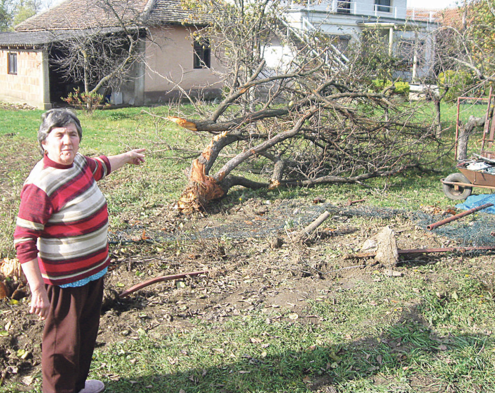 Krvav se pojavio na vratima, drugovi su mu bili mrtvi!