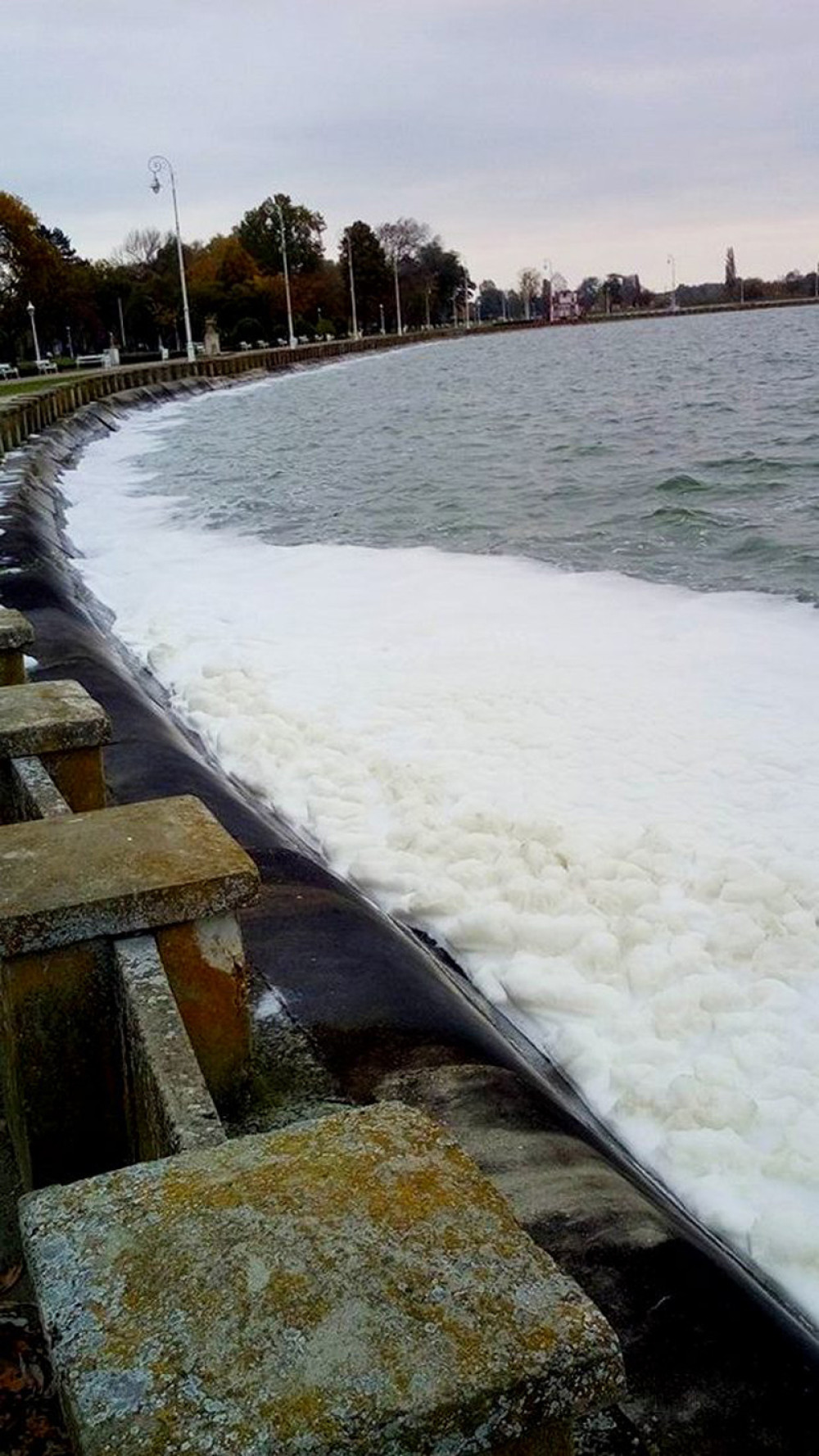 Bela pena prekrila Palićko jezero (FOTO)