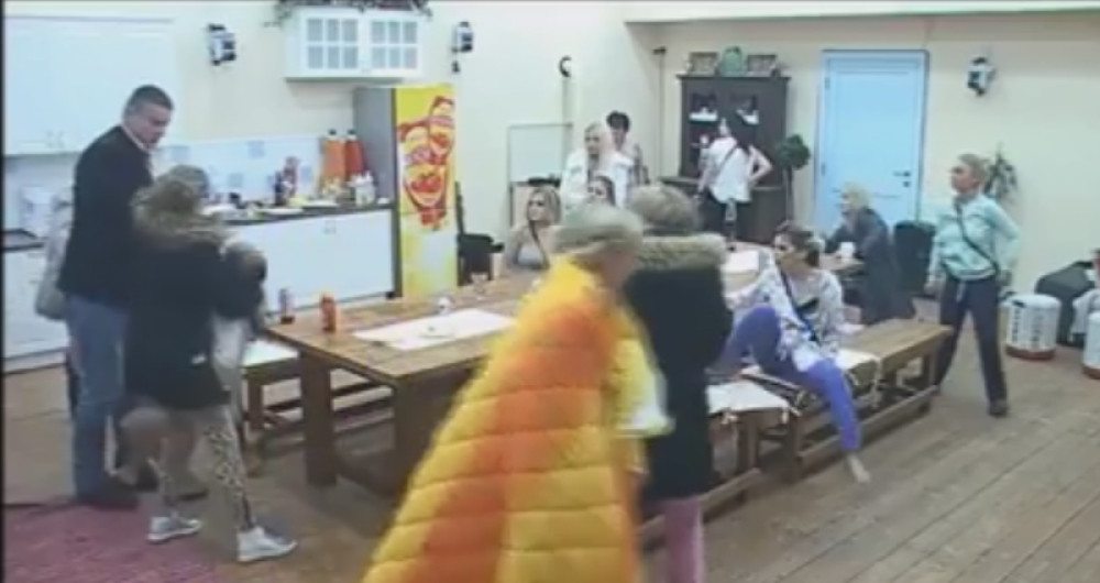 Vuk nokautirao Cecu! (VIDEO)