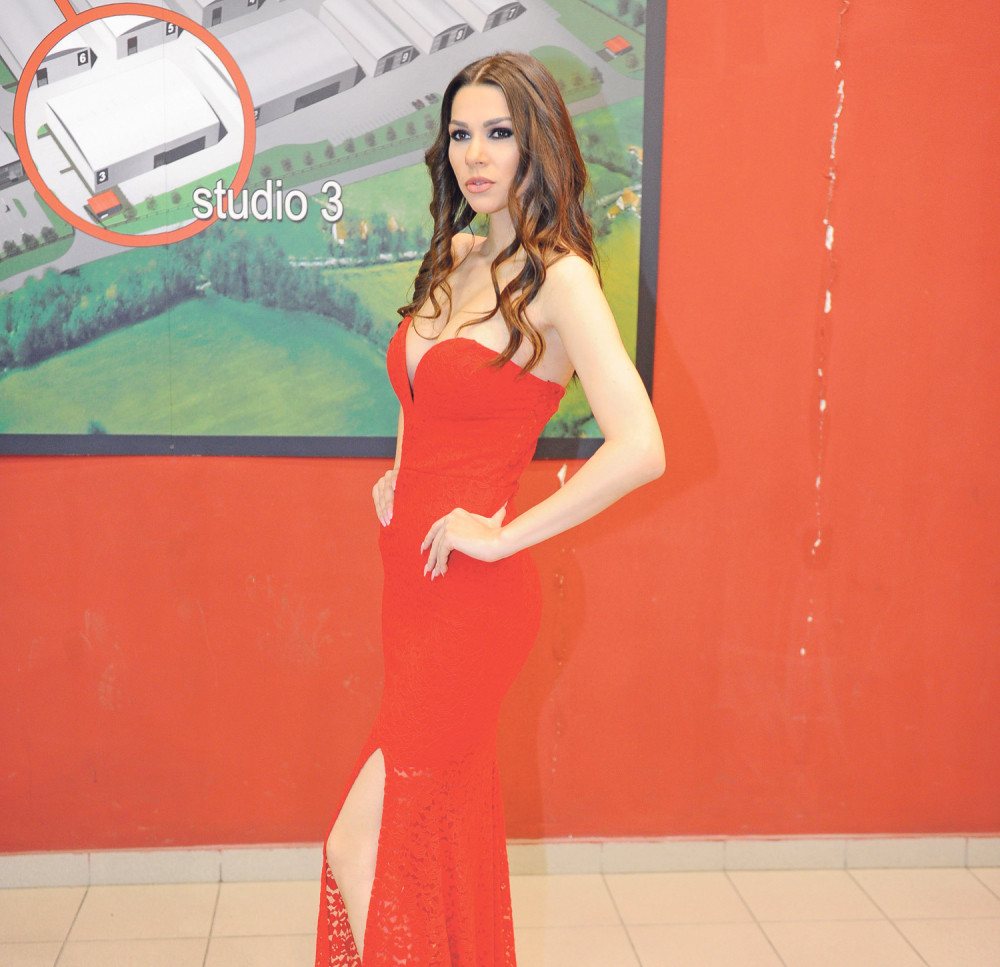 Nisam napao Cecu, okliznula se i pala (VIDEO)