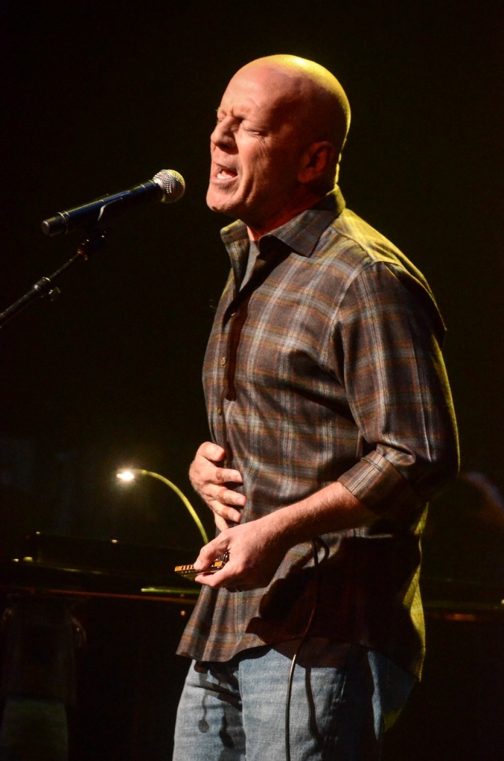 Brus Vilis i Džon Mejer pevali bluz u dobrotvorne svrhe