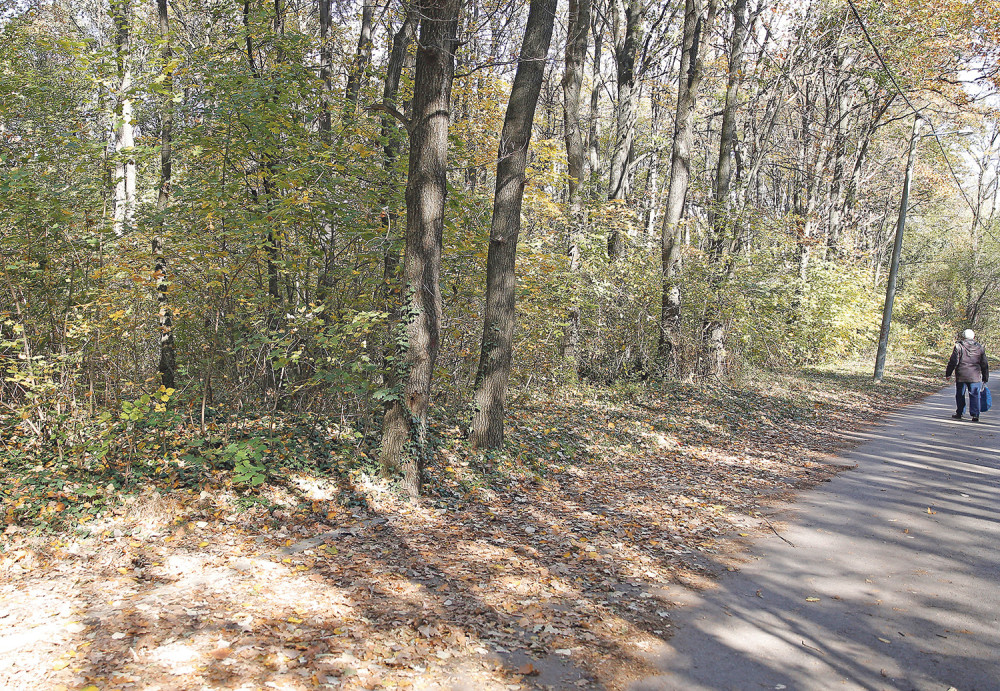 Bombe preplašile Vučićeve komšije!