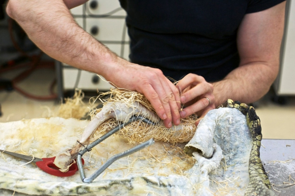 Ovo su najjezivija zanimanja