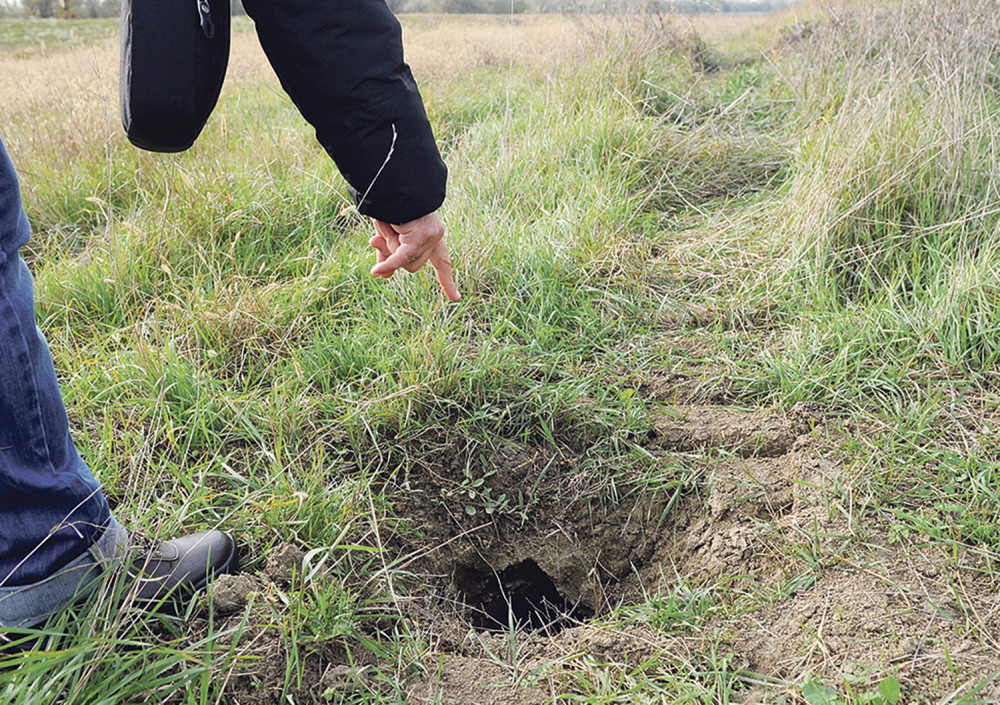 Našli lobanju, plavu kecelju i maramu, ODMAH POZVALI POLICIJU!