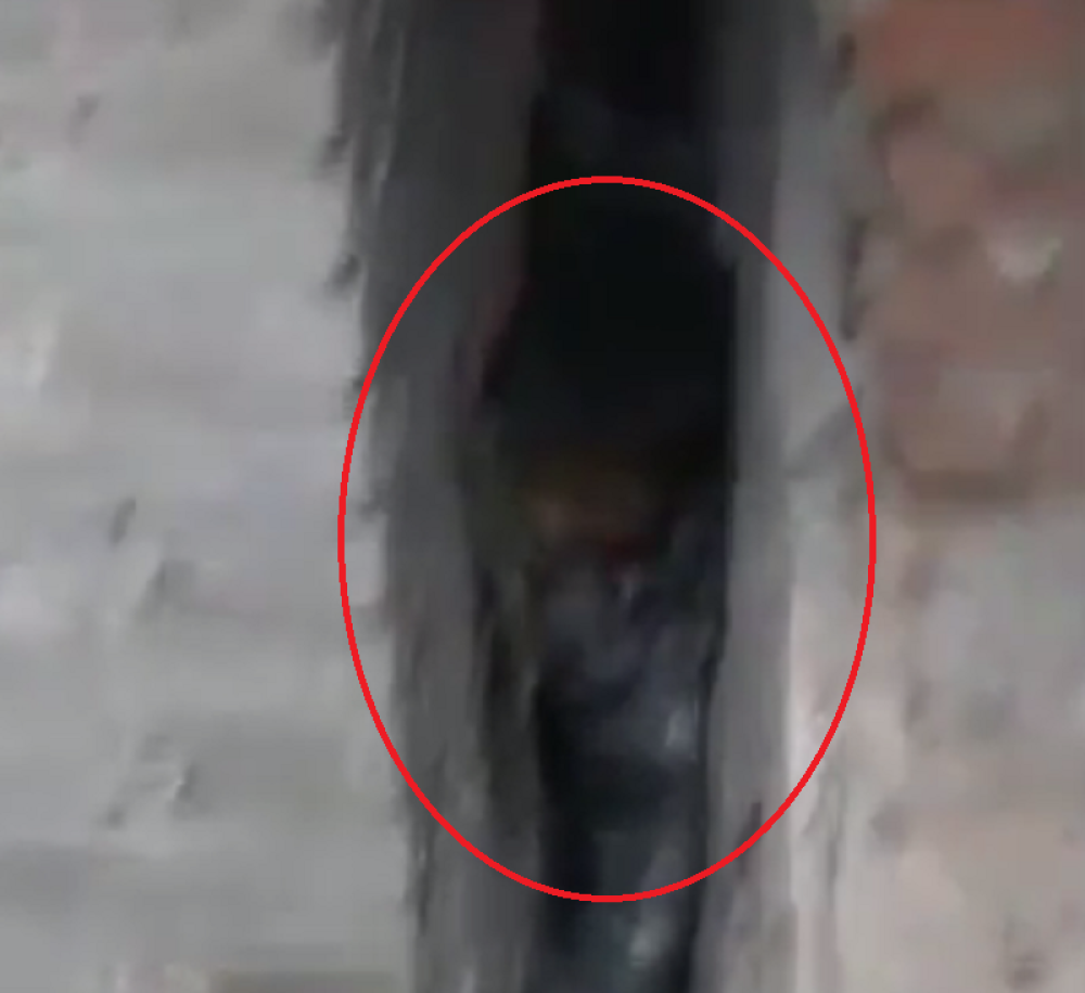 Dečak se zaglavio između zidova! (VIDEO)