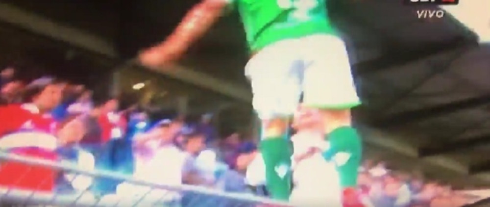 Fudbaler šutnuo navijača u glavu! (VIDEO)