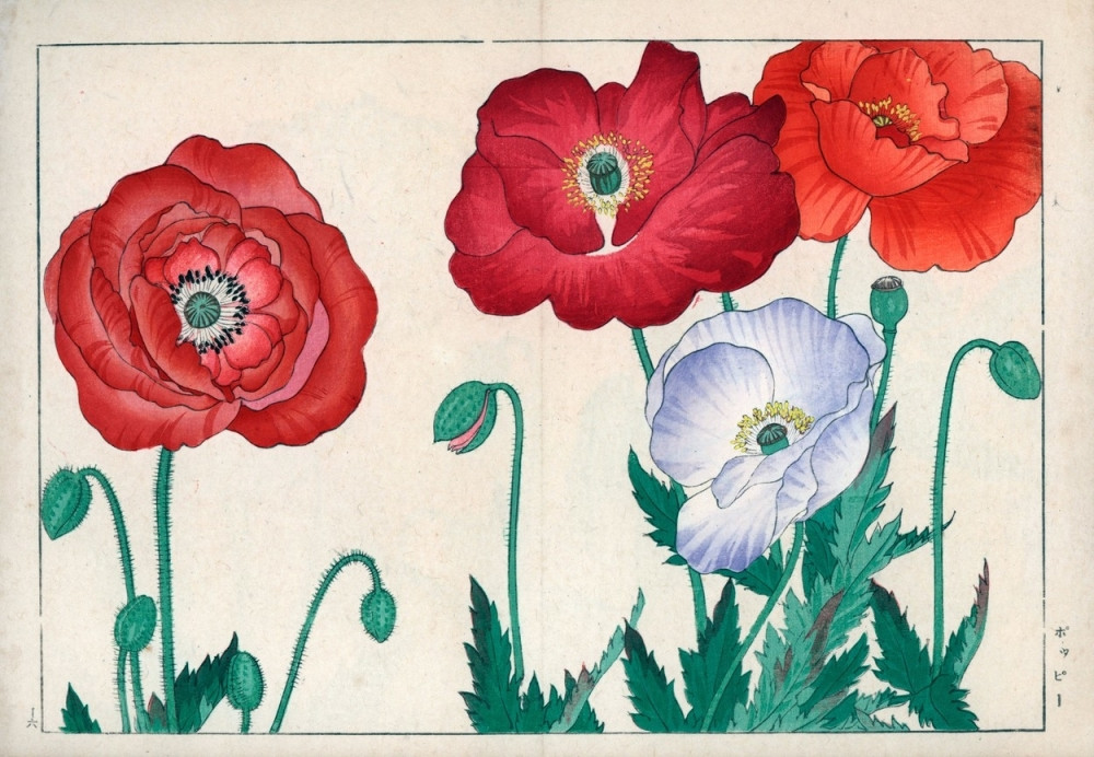 FIFA zabranila nošenje bulki