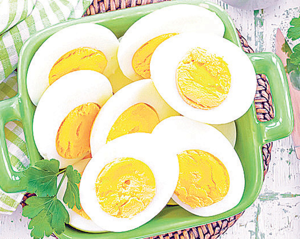 Irina i Ivan su zaboravili da stave jaja u frižider pre odlaska na put, a kad su se vratili usledio je šok (FOTO)