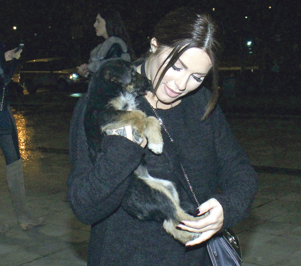 Seka udomila još jednu lutalicu