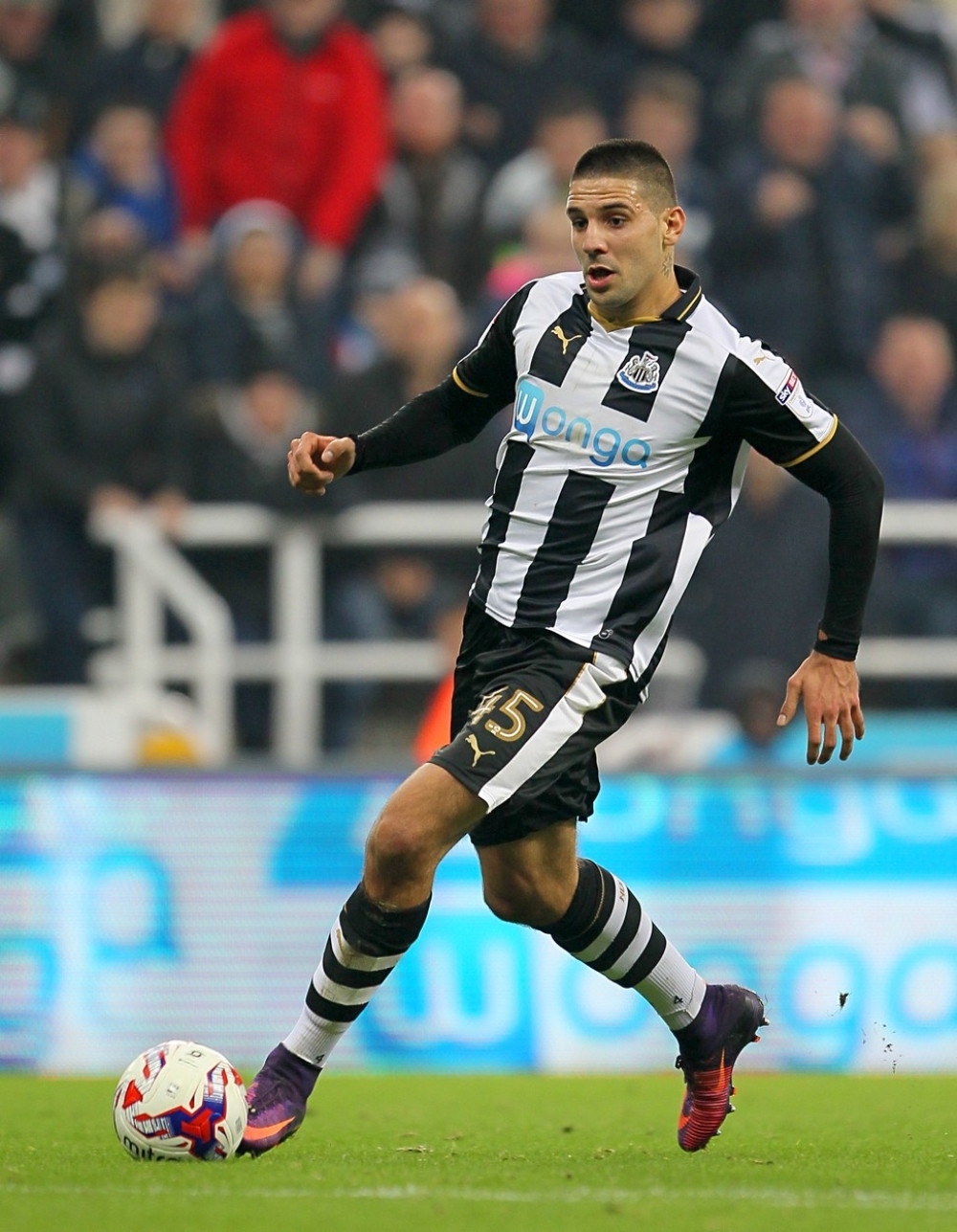 Mitrovićev agent rešio dilemu