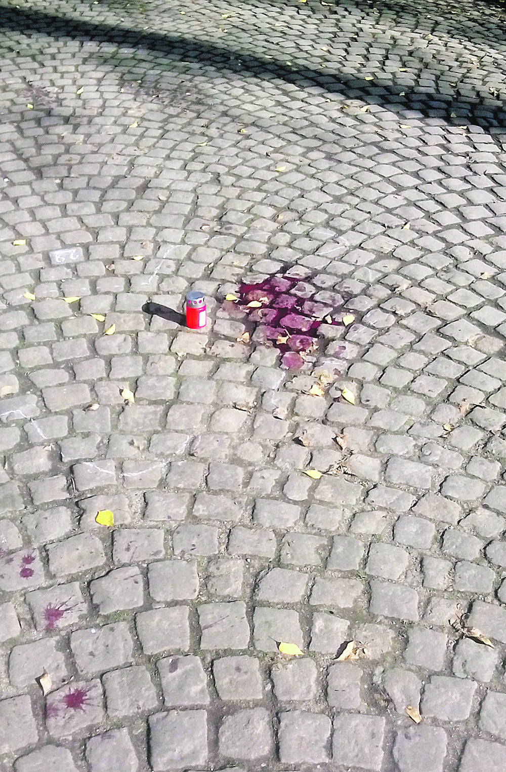 Hteo da spreči svađu, pa izboden nasmrt!