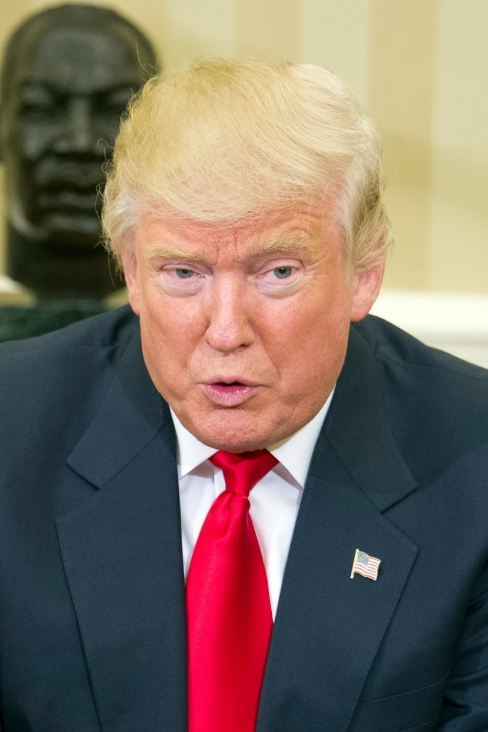 Da li je Tramp sposoban da vodi državu?