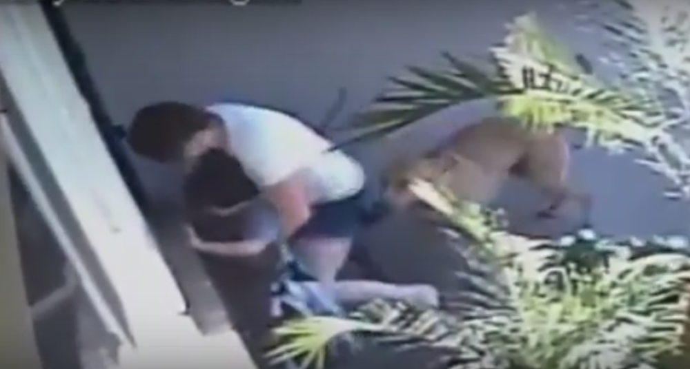 Majka telom branila sina od pobesnelih kerova! (VIDEO)