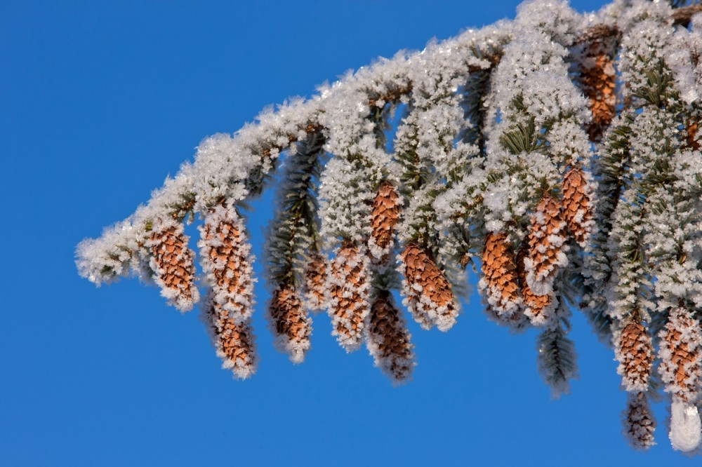 Danas od minus pet do plus deset!