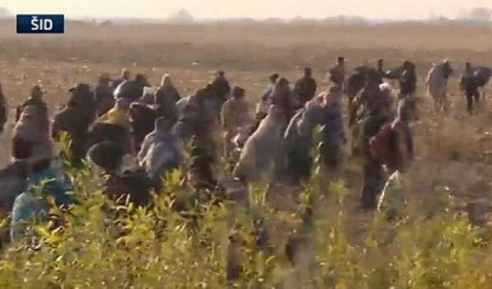 Migranti se posle tuče vratili u Šid!