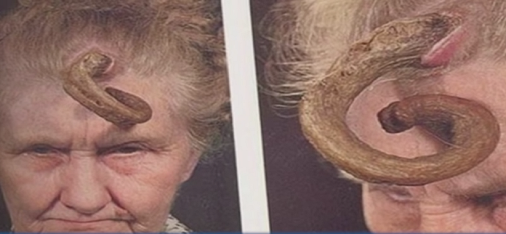 Odvratniji video danas sigurno nećete videti! (VIDEO)