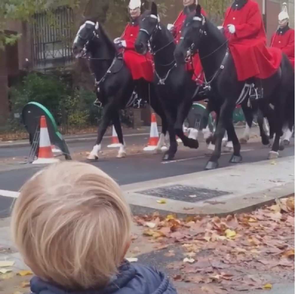 Noletovog Stefana opčinili konji! (VIDEO)
