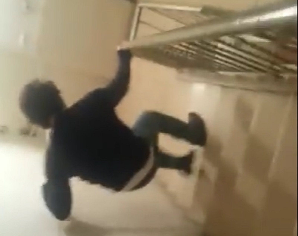 Napao pacova, a onda je usledio šok (VIDEO)