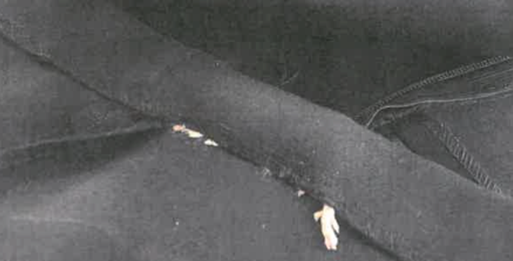 Kupila Zarinu haljinu s mrtvim pacovom