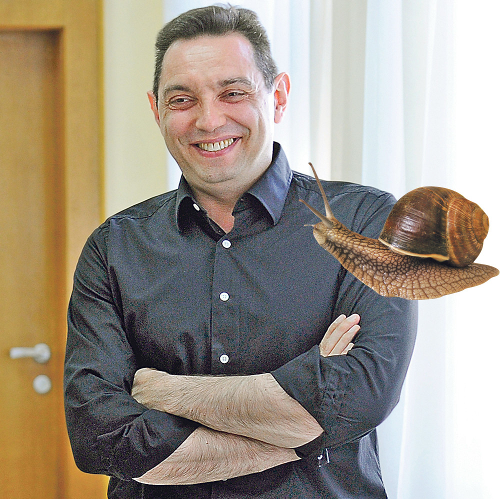 Nedimović kucao tikete, a Vulin lovio žabe!