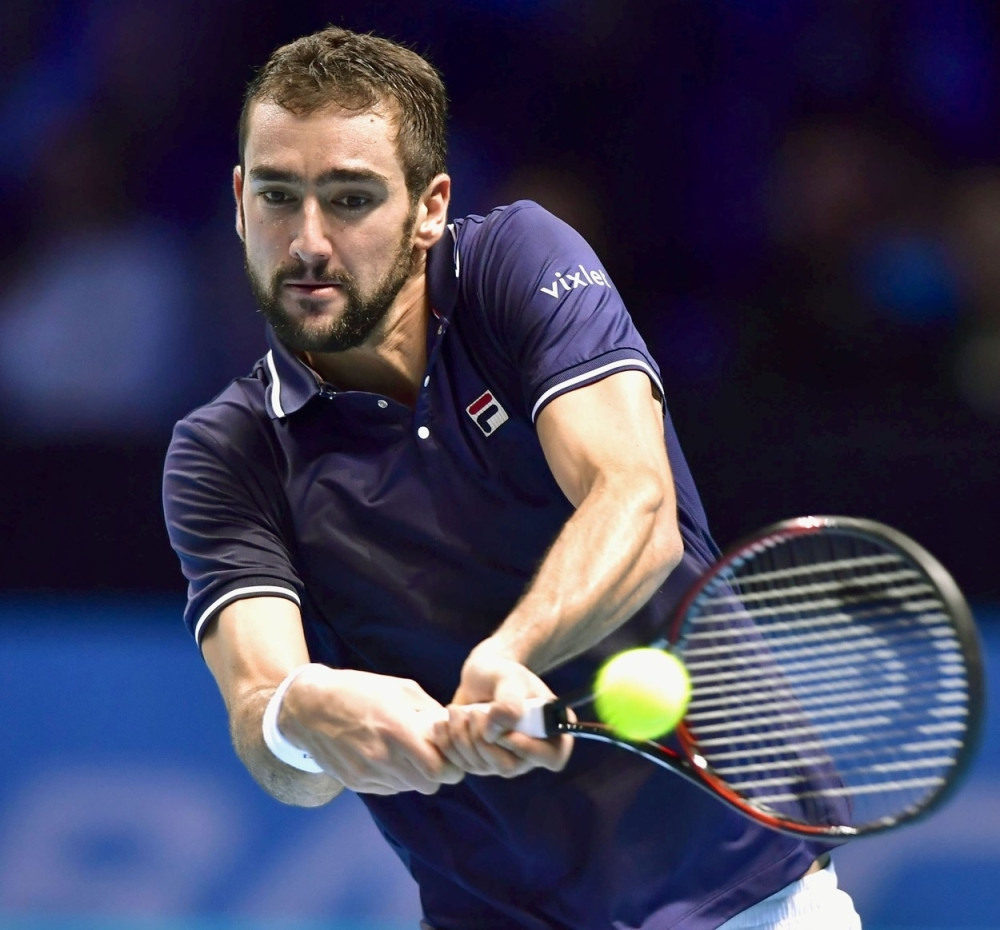 Čilić otkrio ambicije u 2017. godini